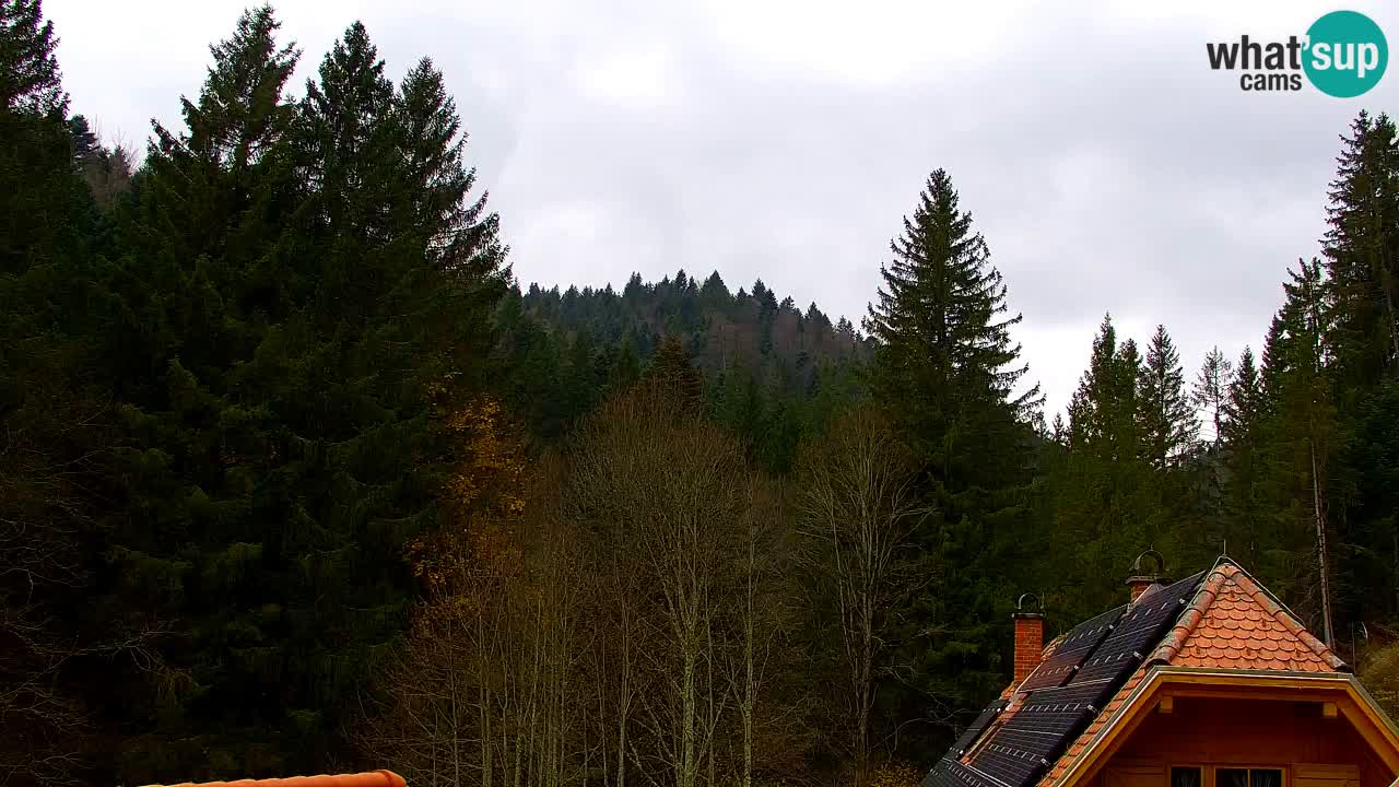 Webcam Lukanja – Water Village | Pohorje Houses