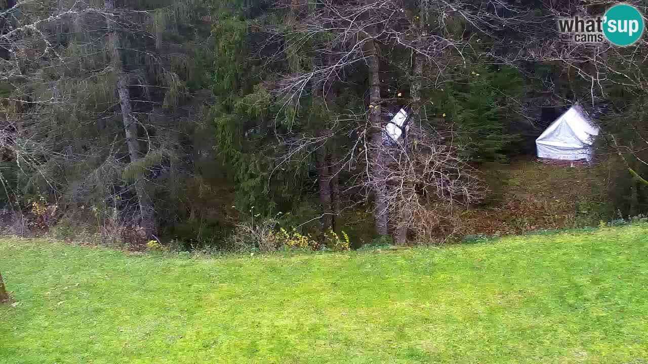 Webcam Lukanja – Water Village | Pohorje Houses