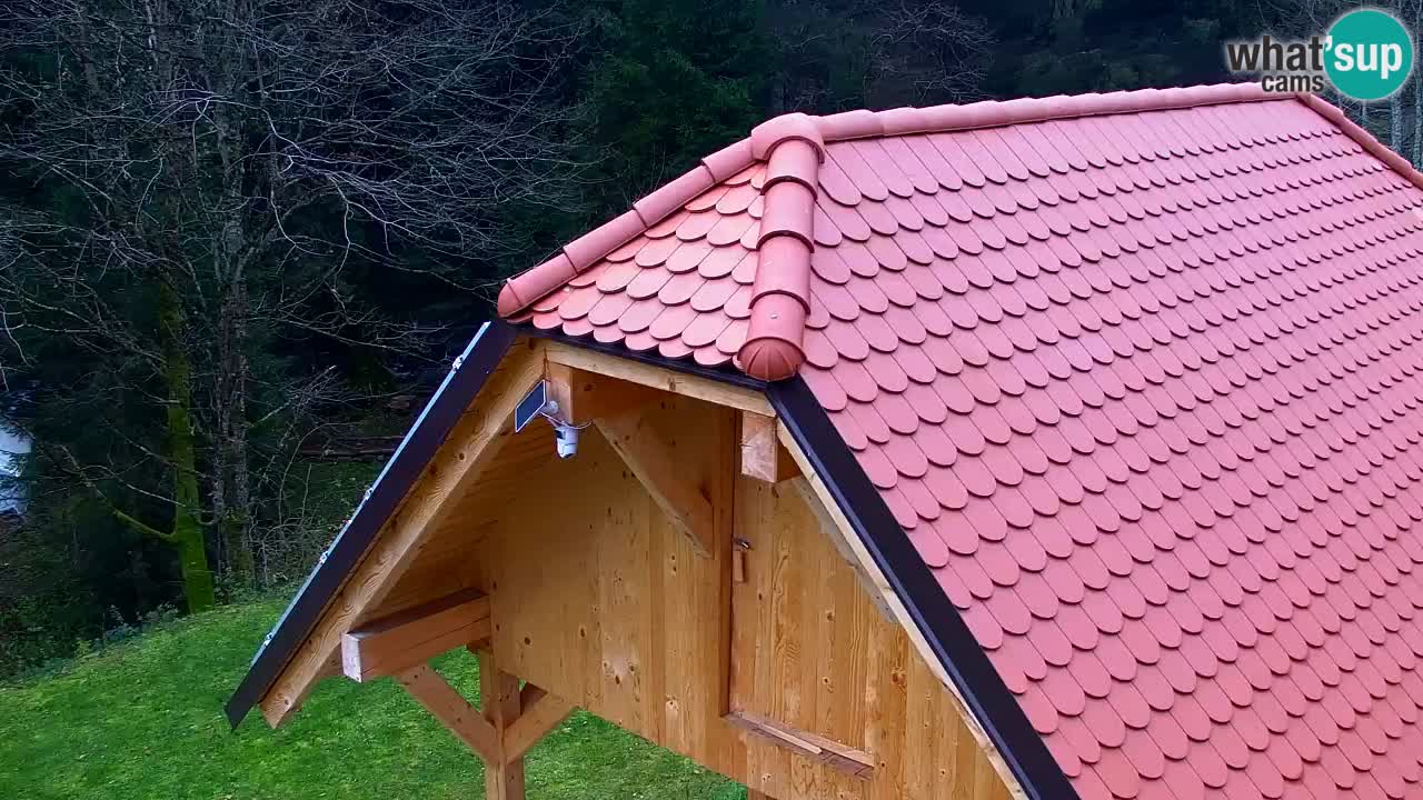 Spletna kamera Lukanja – Water Village | Pohorje Houses