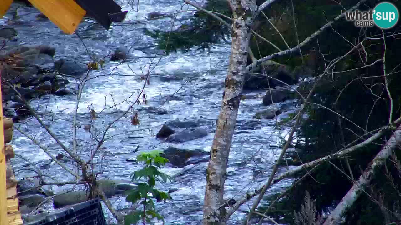 Webcam Lukanja – Pohorje houses a Water village