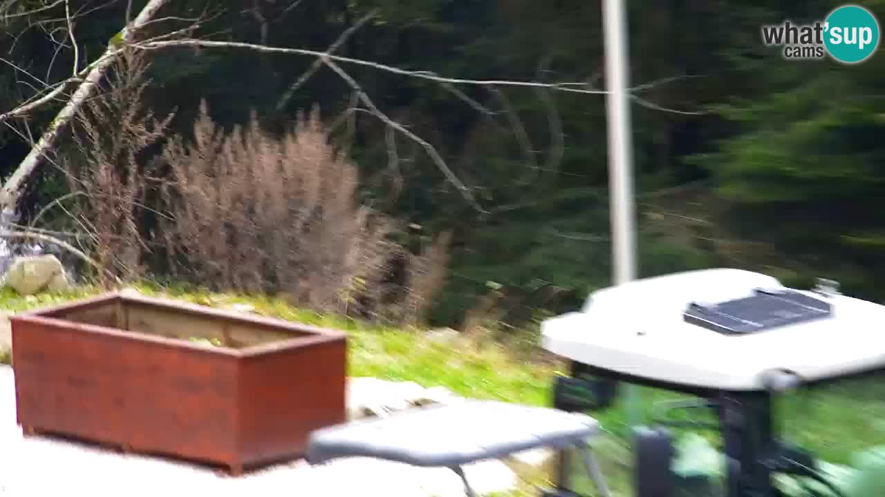 Webcam Lukanja – Water Village | Pohorje Houses