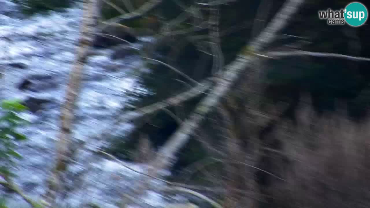 Spletna kamera Lukanja – Water Village | Pohorje Houses