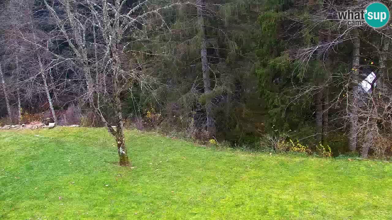 Webcam Lukanja – Water Village | Pohorje Houses