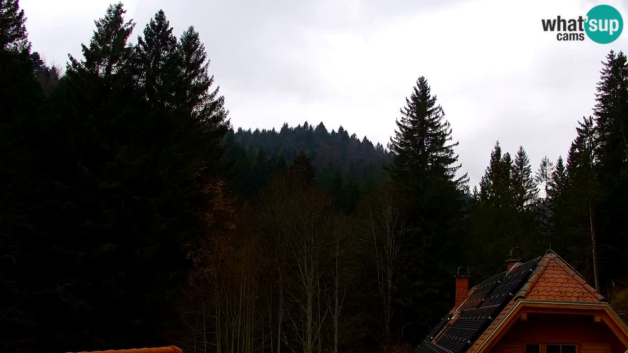 Spletna kamera Lukanja – Water Village | Pohorje Houses