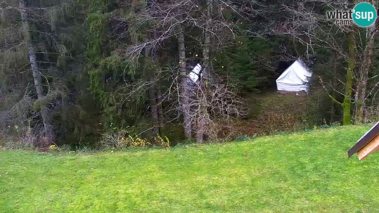 Web kamera Lukanja – Water Village | Pohorje Houses