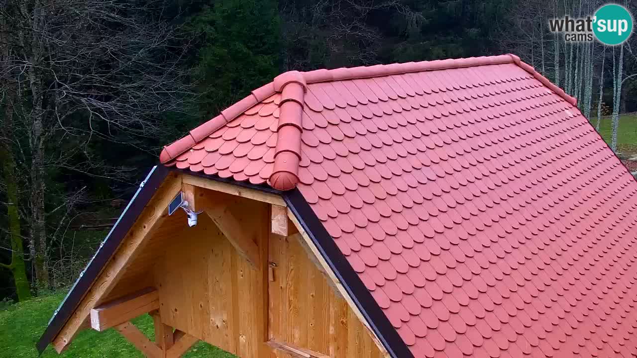 Webcam Lukanja – Pohorje houses a Water village