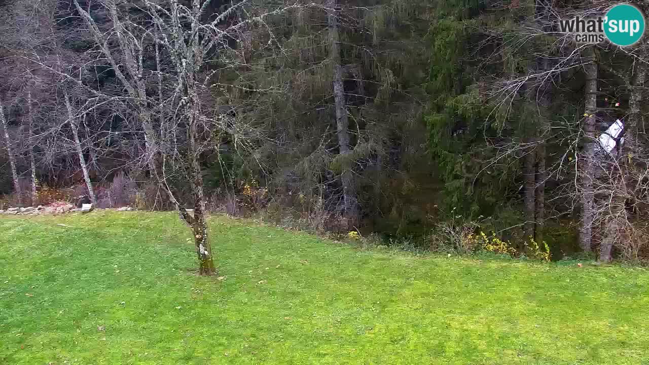 Webcam Lukanja – Pohorje houses a Water village