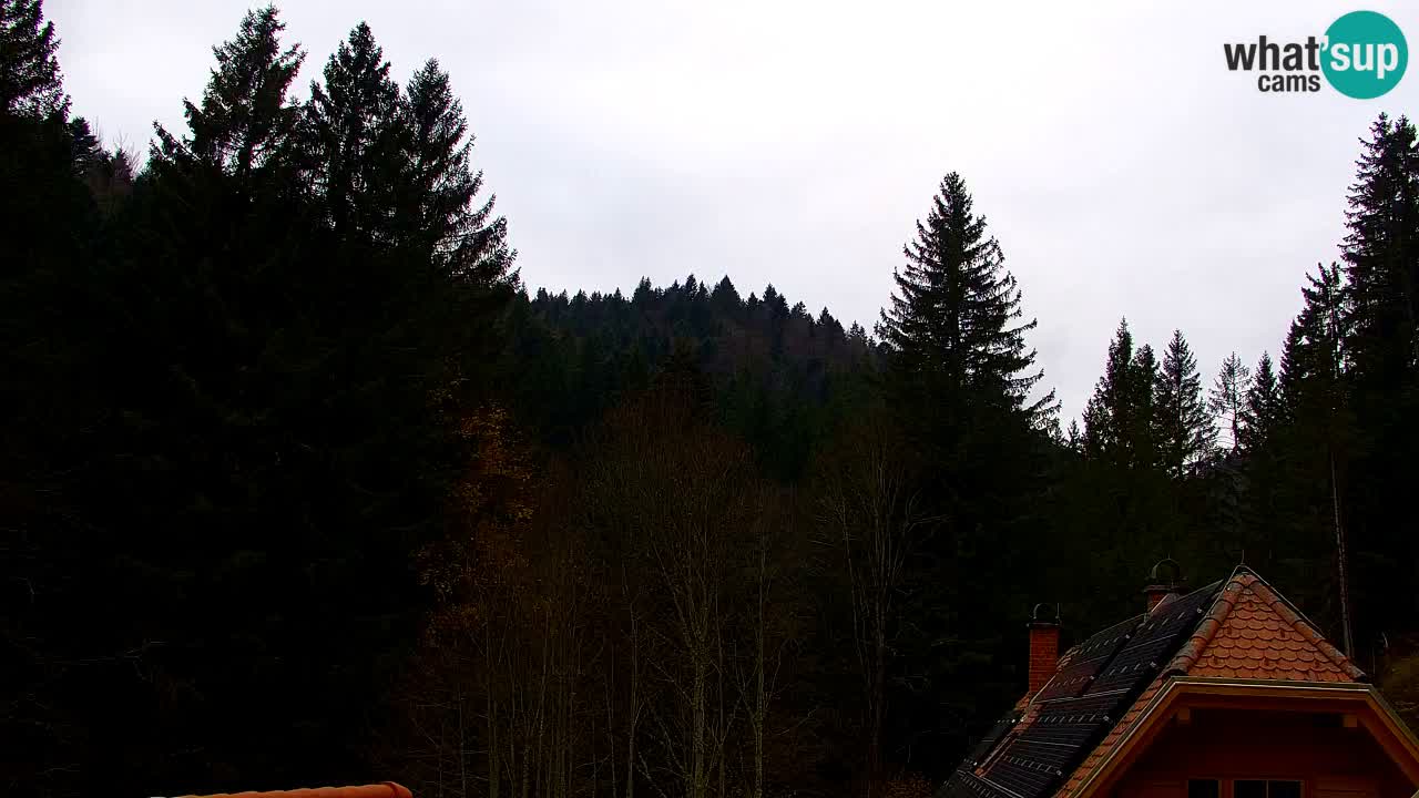 Webcam Lukanja – Water Village | Pohorje Houses