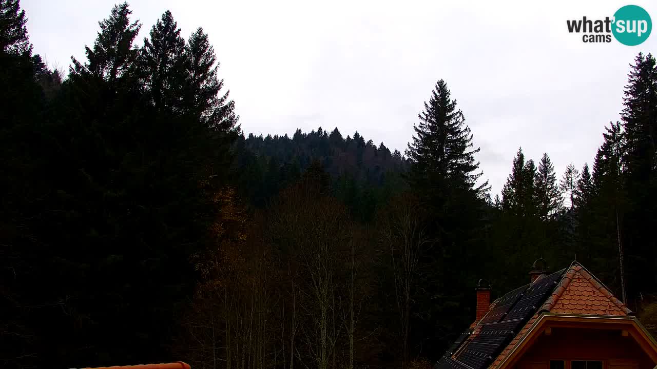 Webcam Lukanja – Water Village | Pohorje Houses