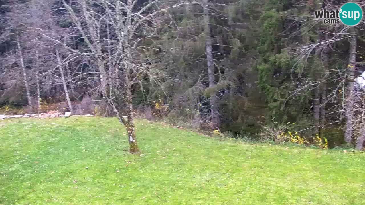 Spletna kamera Lukanja – Water Village | Pohorje Houses