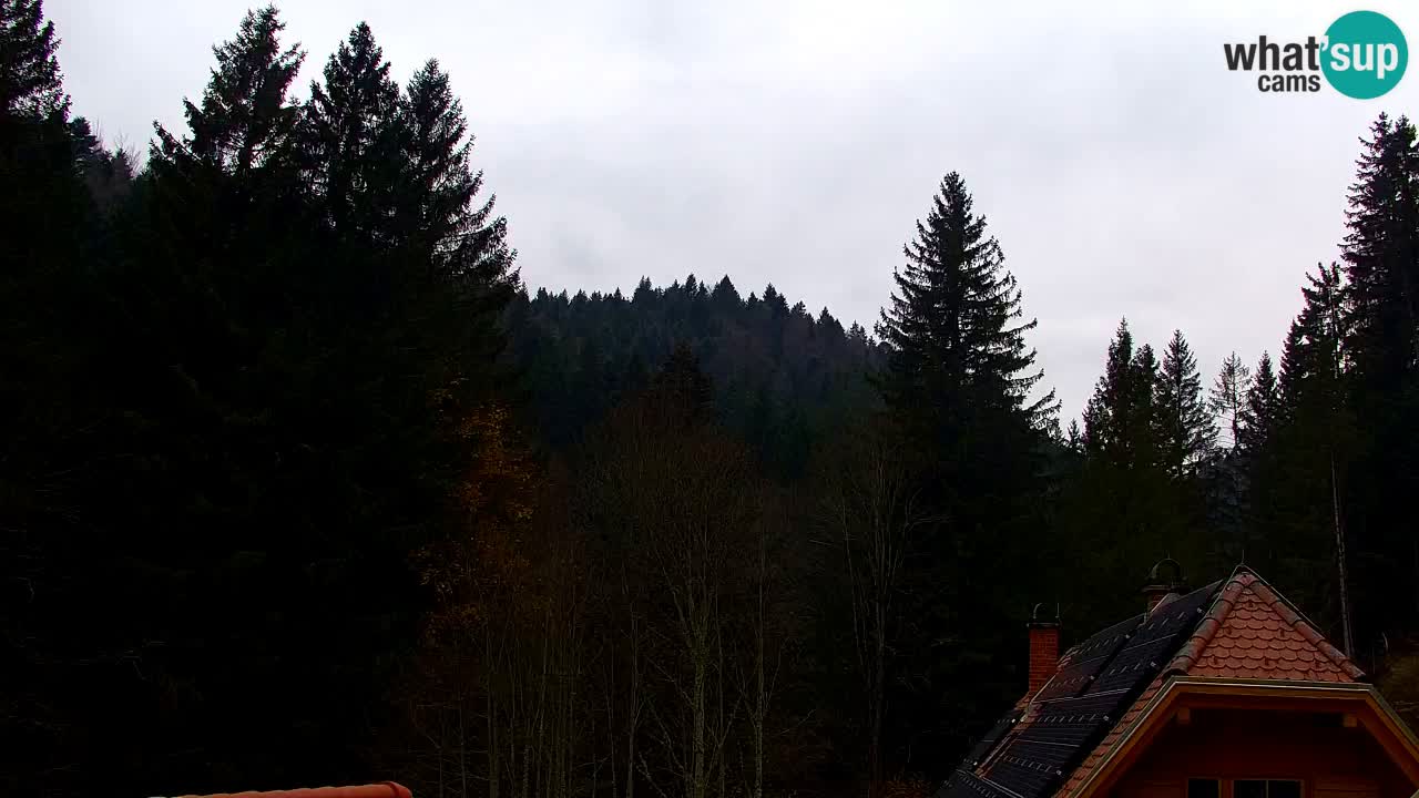 Webcam Lukanja – Pohorje houses a Water village