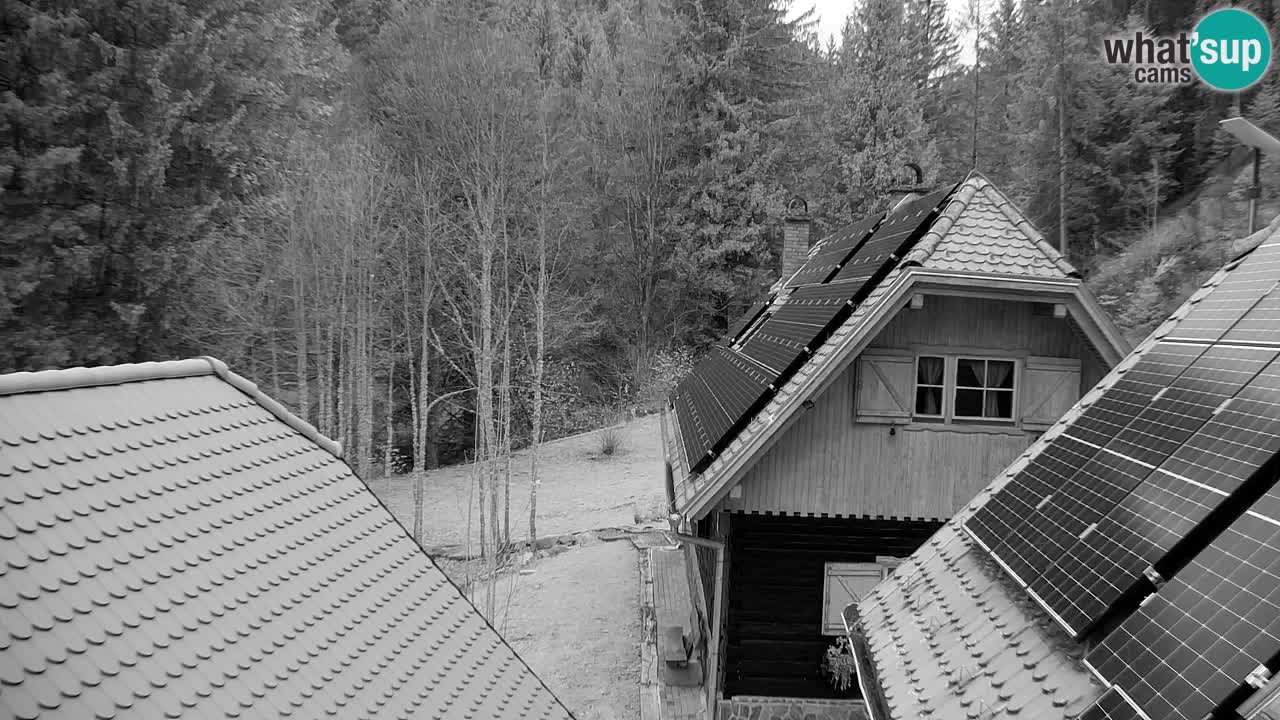 Web kamera Lukanja – Water Village | Pohorje Houses