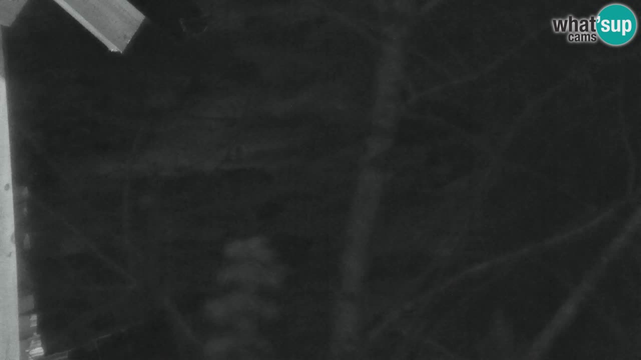 Webcam Lukanja – Pohorje houses a Water village