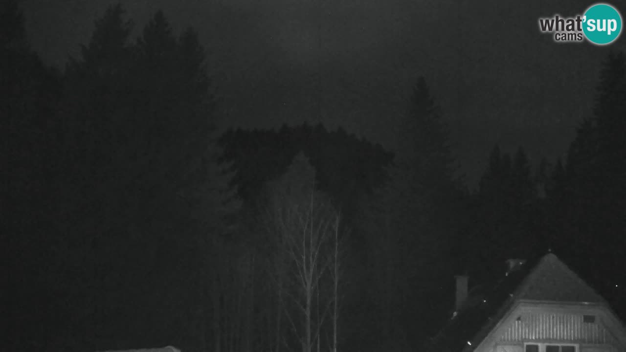 Webcam Lukanja – Pohorje houses a Water village