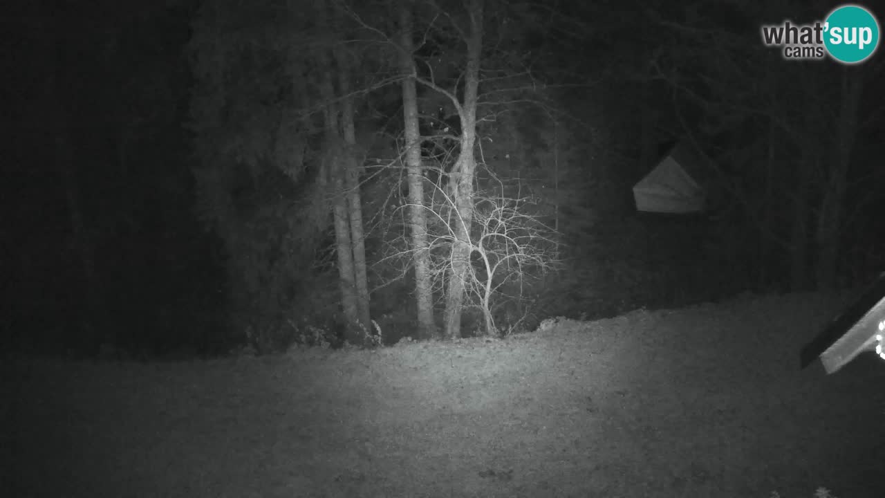 Webcam Lukanja – Pohorje houses a Water village