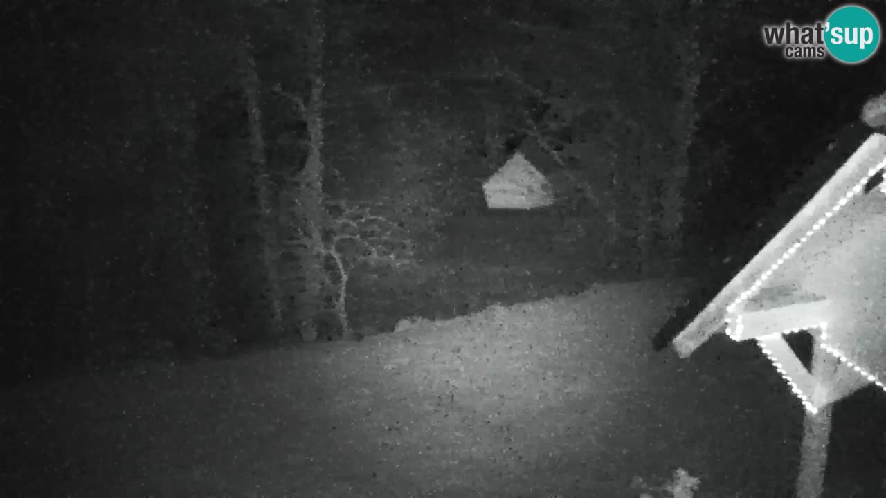 Webcam Lukanja – Pohorje houses a Water village