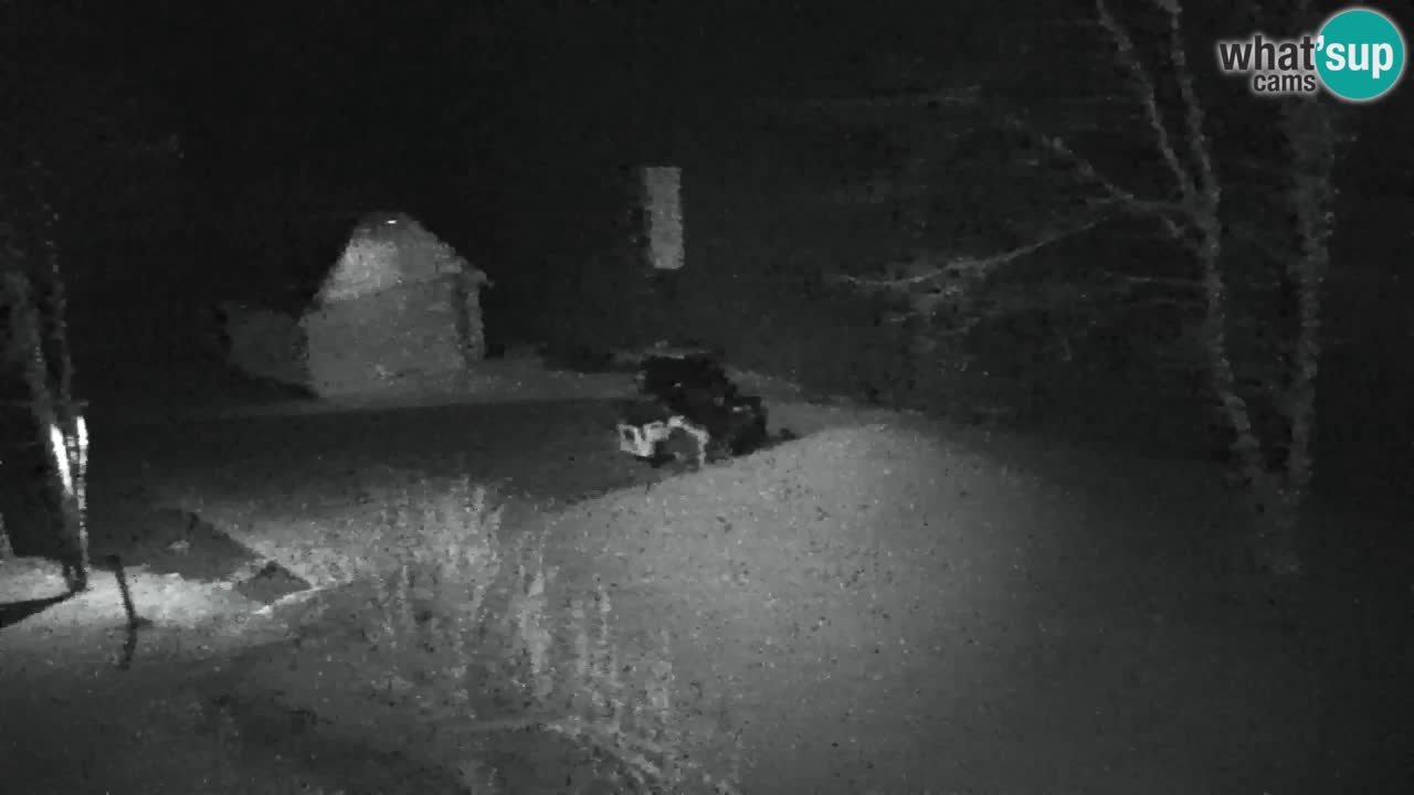 Spletna kamera Lukanja – Water Village | Pohorje Houses