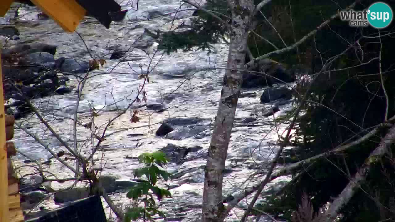 Webcam Lukanja – Water Village | Pohorje Houses