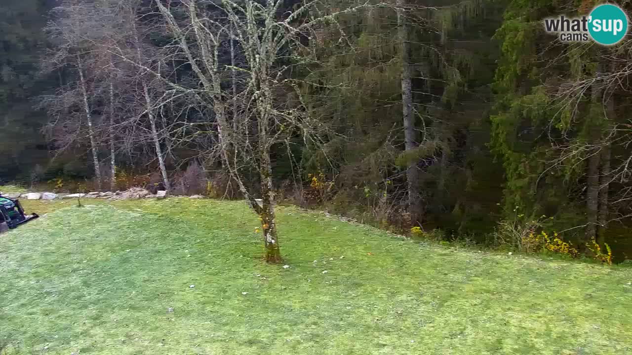 Webcam Lukanja – Pohorje houses a Water village