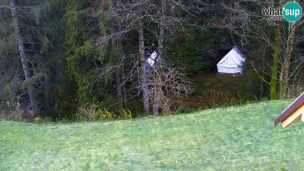 Webcam Lukanja – Pohorje houses a Water village