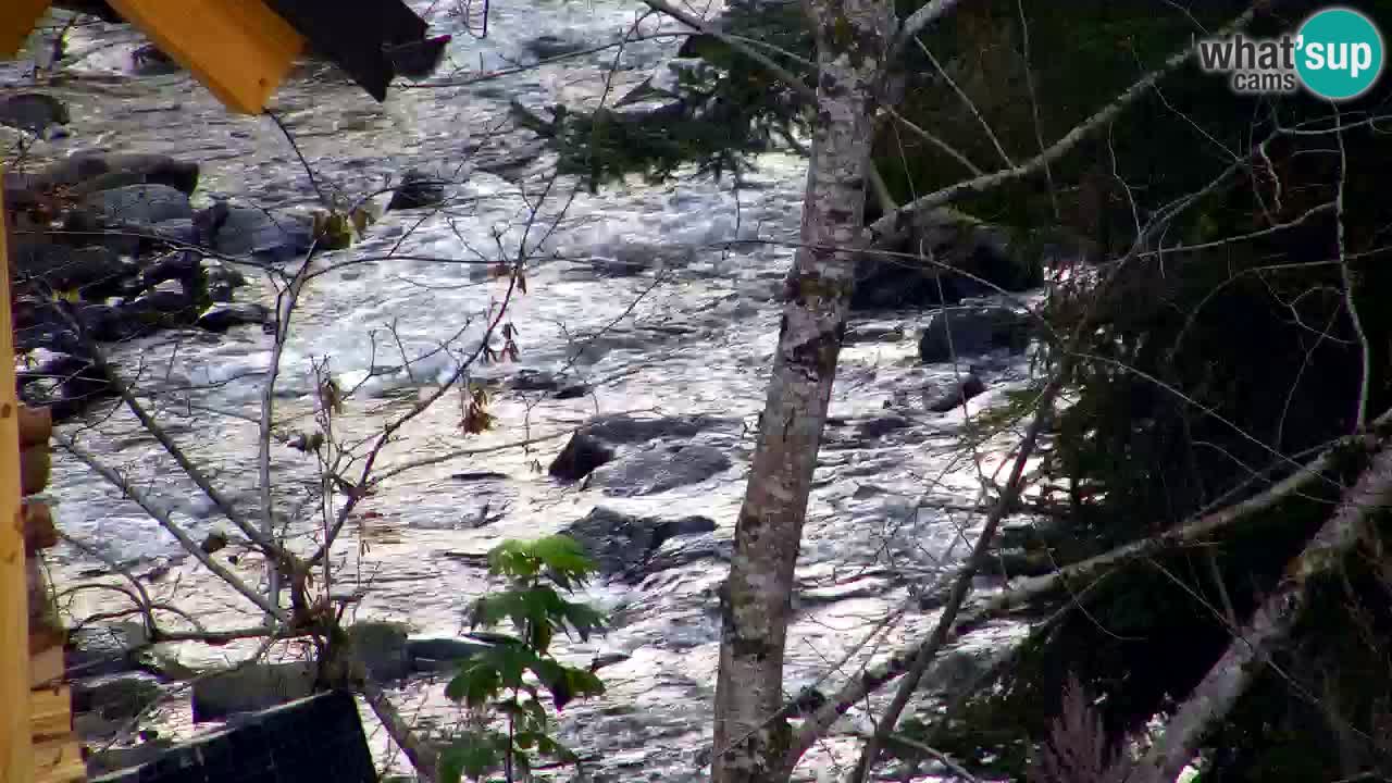 Webcam Lukanja – Water Village | Pohorje Houses