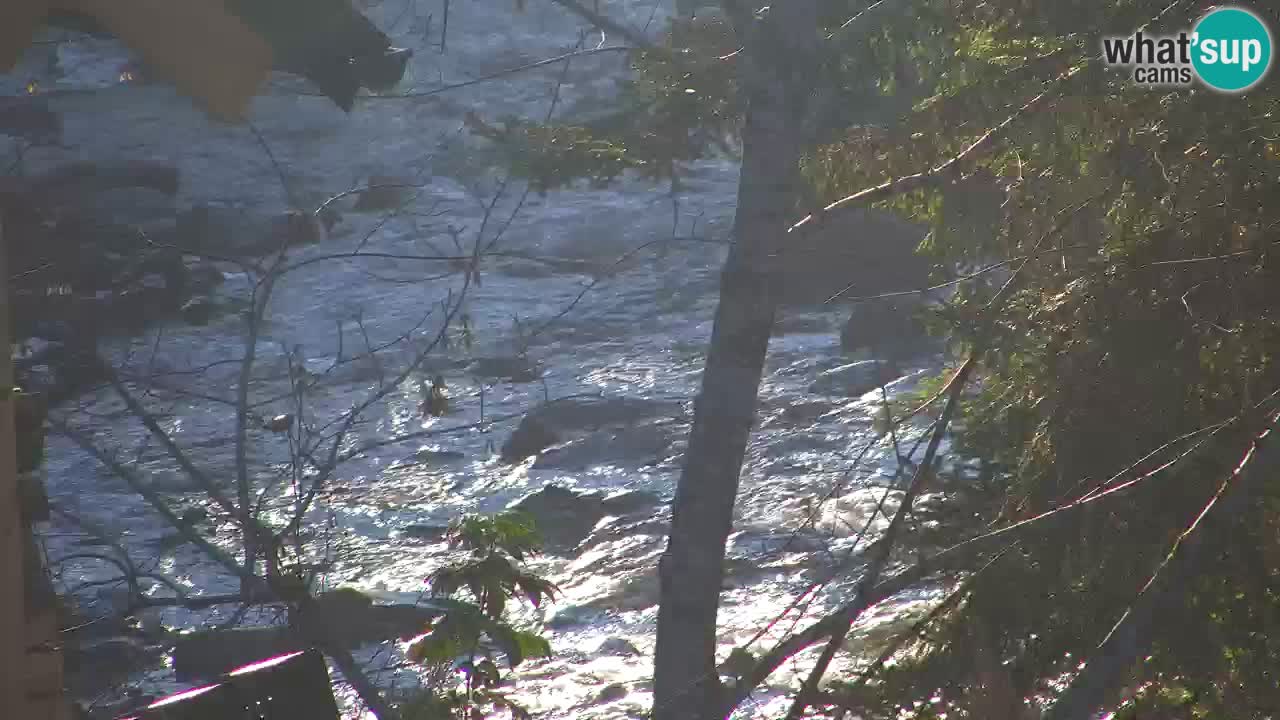 Webcam Lukanja – Water Village | Pohorje Houses