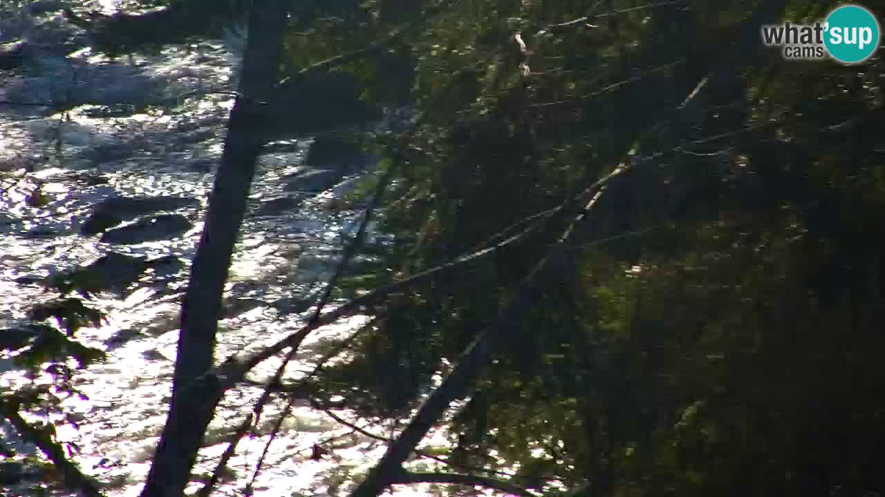 Webcam Lukanja – Water Village | Pohorje Houses