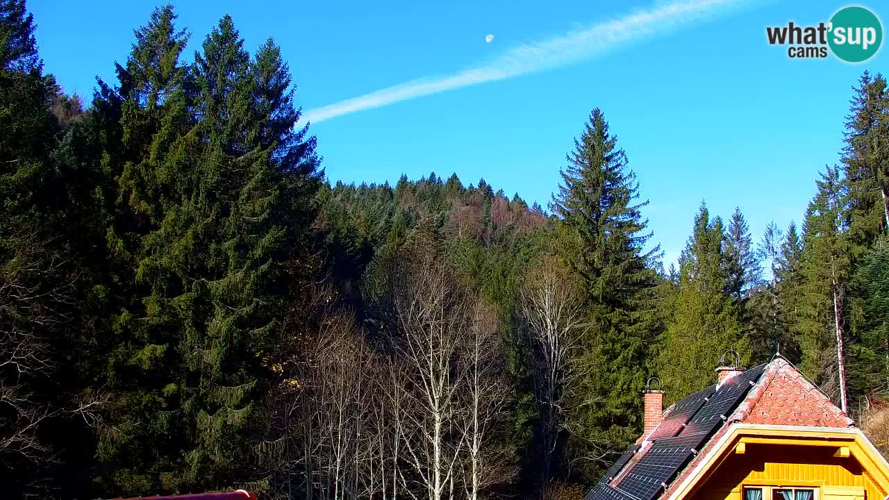 Webcam Lukanja – Water Village | Pohorje Houses