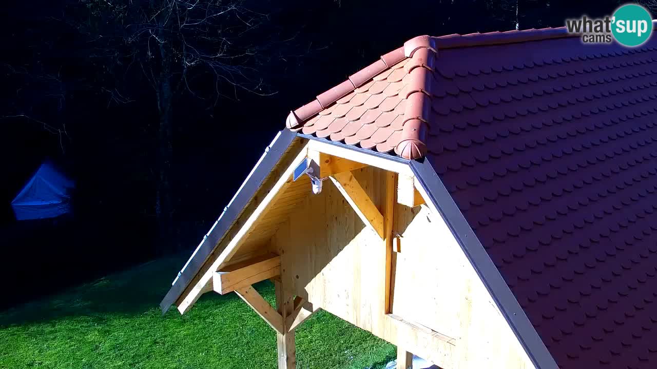 Webcam Lukanja – Water Village | Pohorje Houses