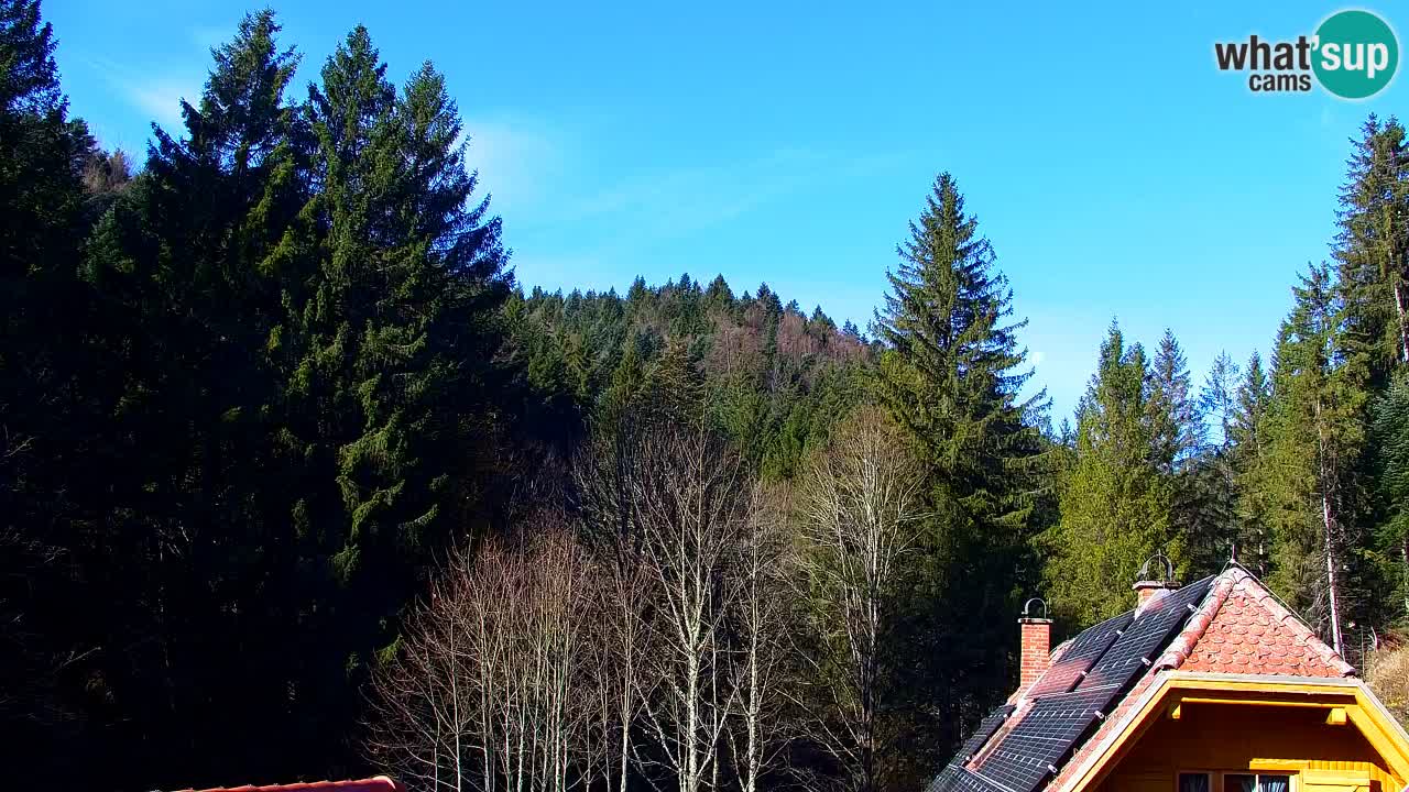 Web kamera Lukanja – Water Village | Pohorje Houses