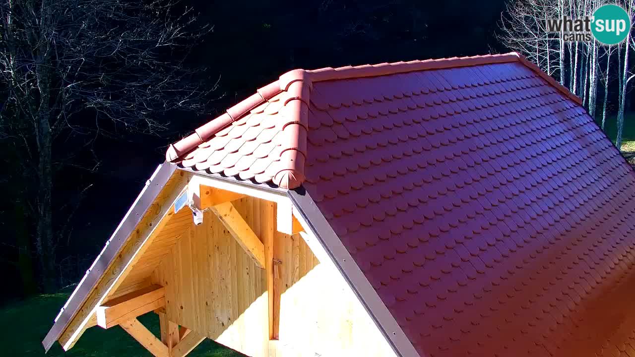 Webcam Lukanja – Pohorje houses a Water village