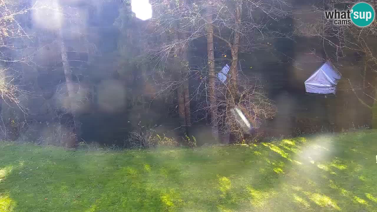 Web kamera Lukanja – Water Village | Pohorje Houses