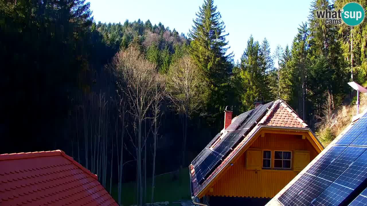 Webcam Lukanja – Pohorje houses a Water village