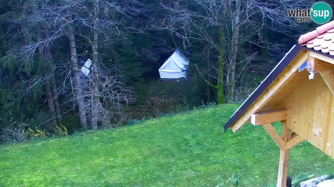 Spletna kamera Lukanja – Water Village | Pohorje Houses