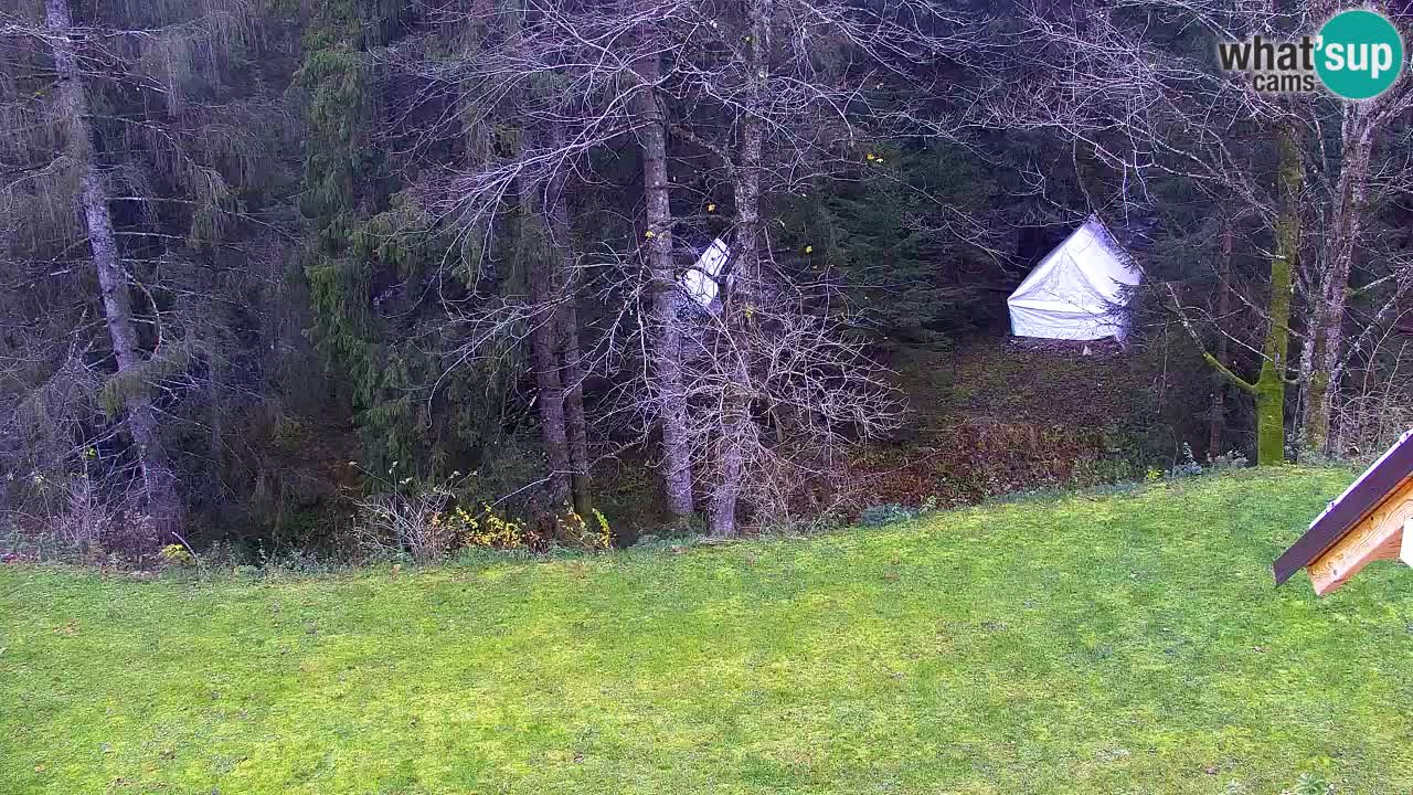 Webcam Lukanja – Pohorje houses a Water village