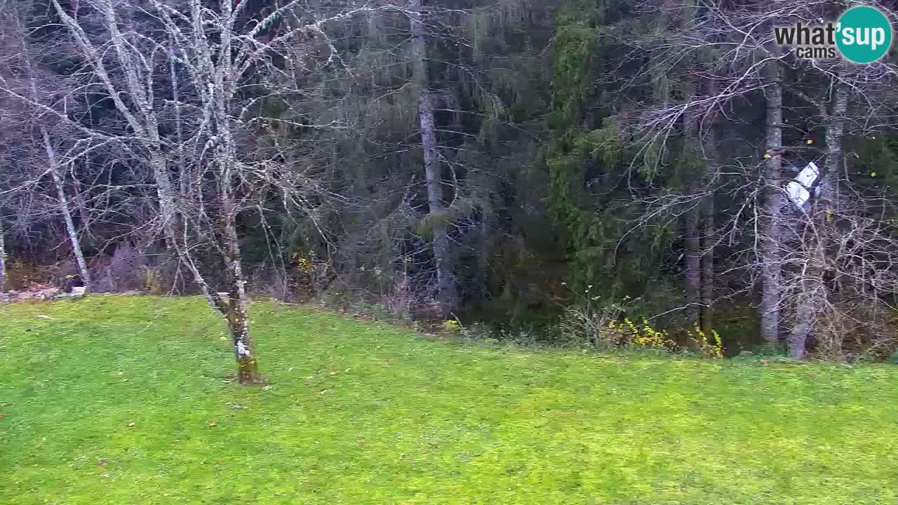 Webcam Lukanja – Water Village | Pohorje Houses