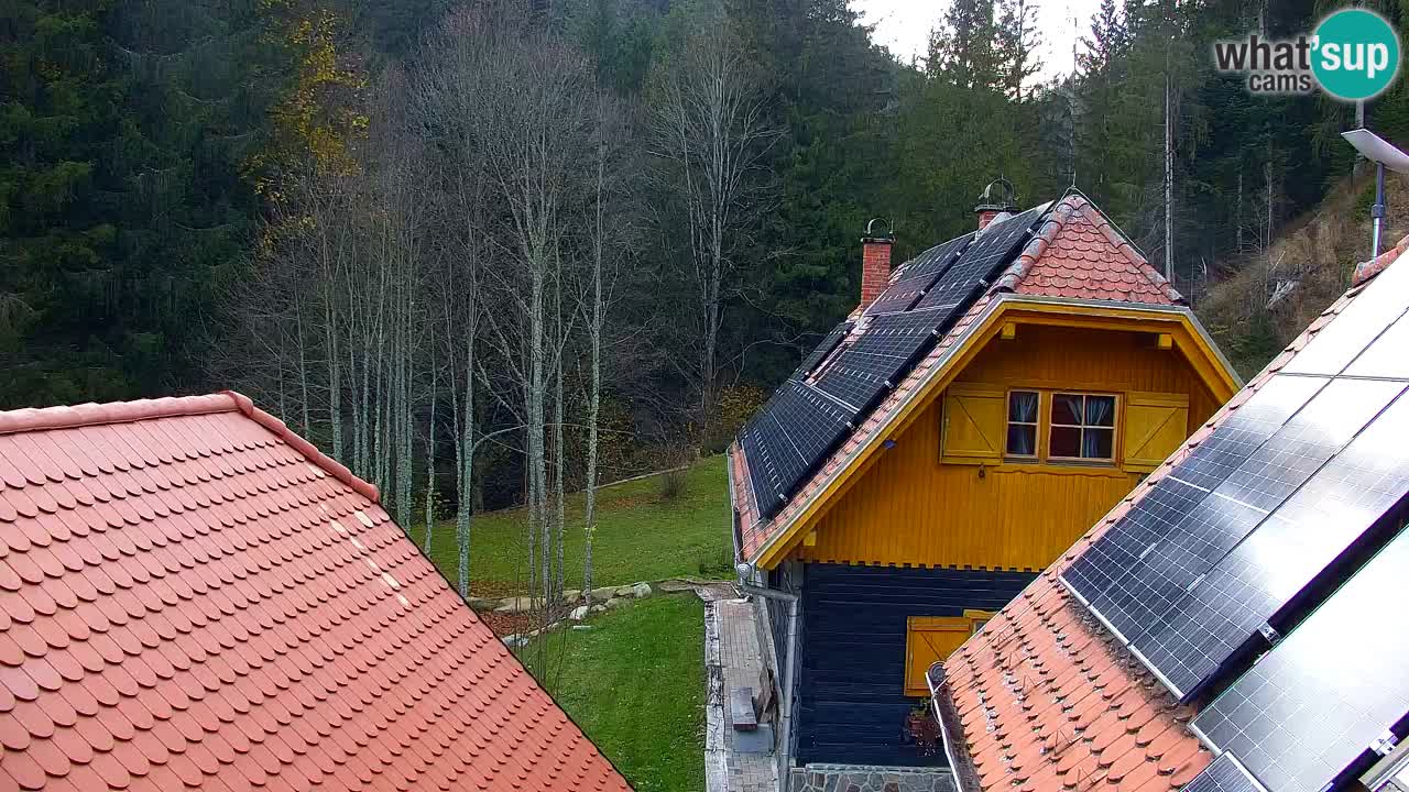 Webcam Lukanja – Water Village | Pohorje Houses