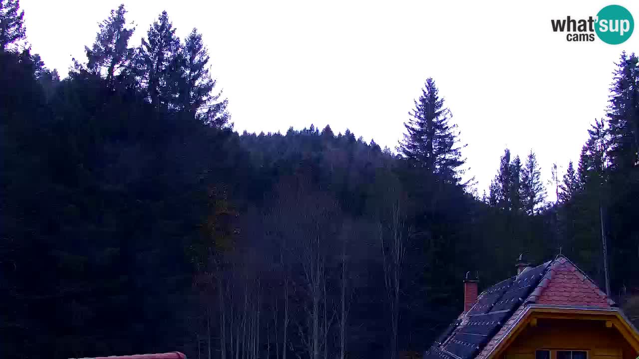 Spletna kamera Lukanja – Water Village | Pohorje Houses