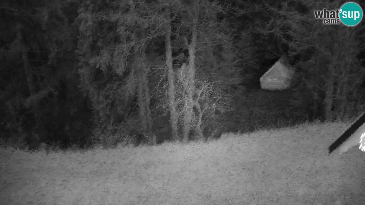 Webcam Lukanja – Water Village | Pohorje Houses