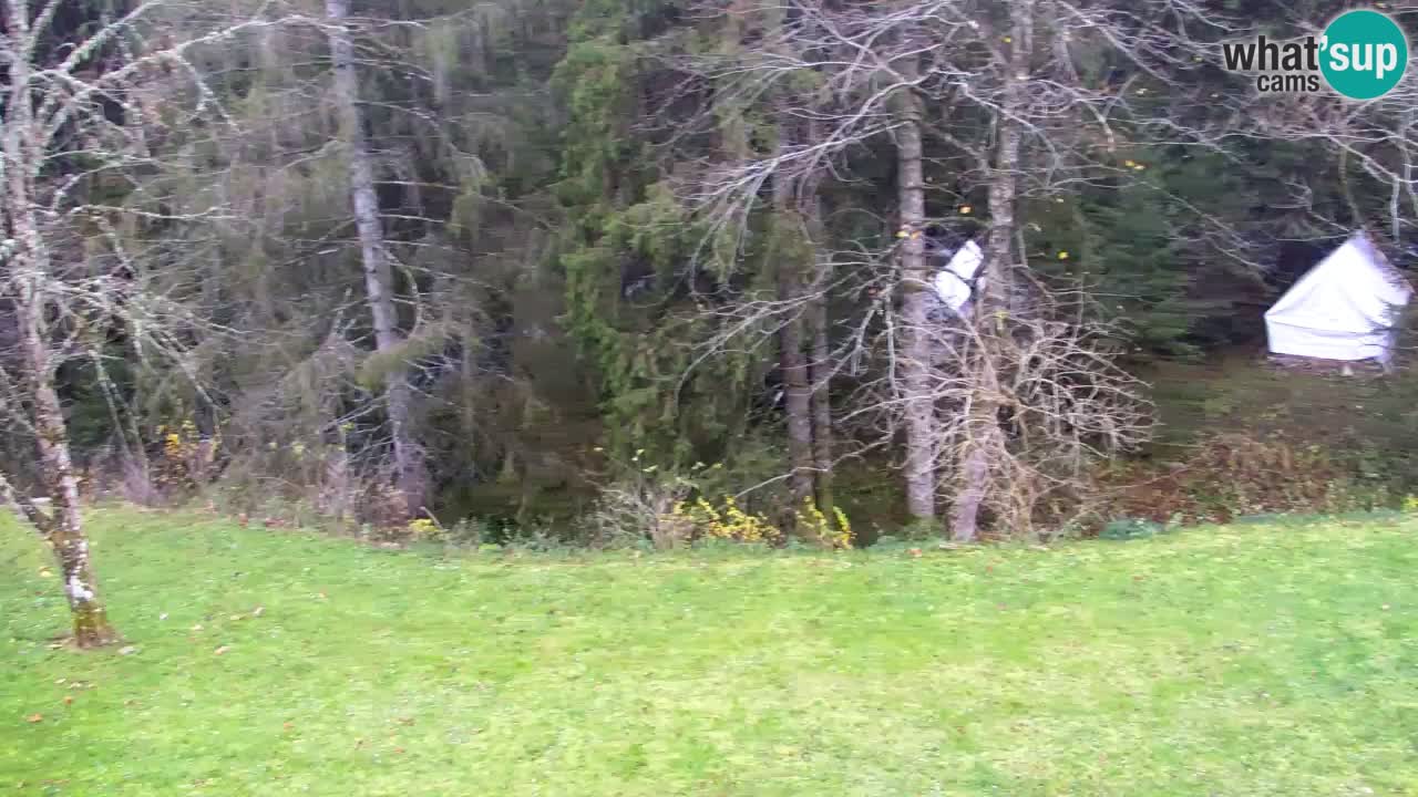 Webcam Lukanja – Water Village | Pohorje Houses