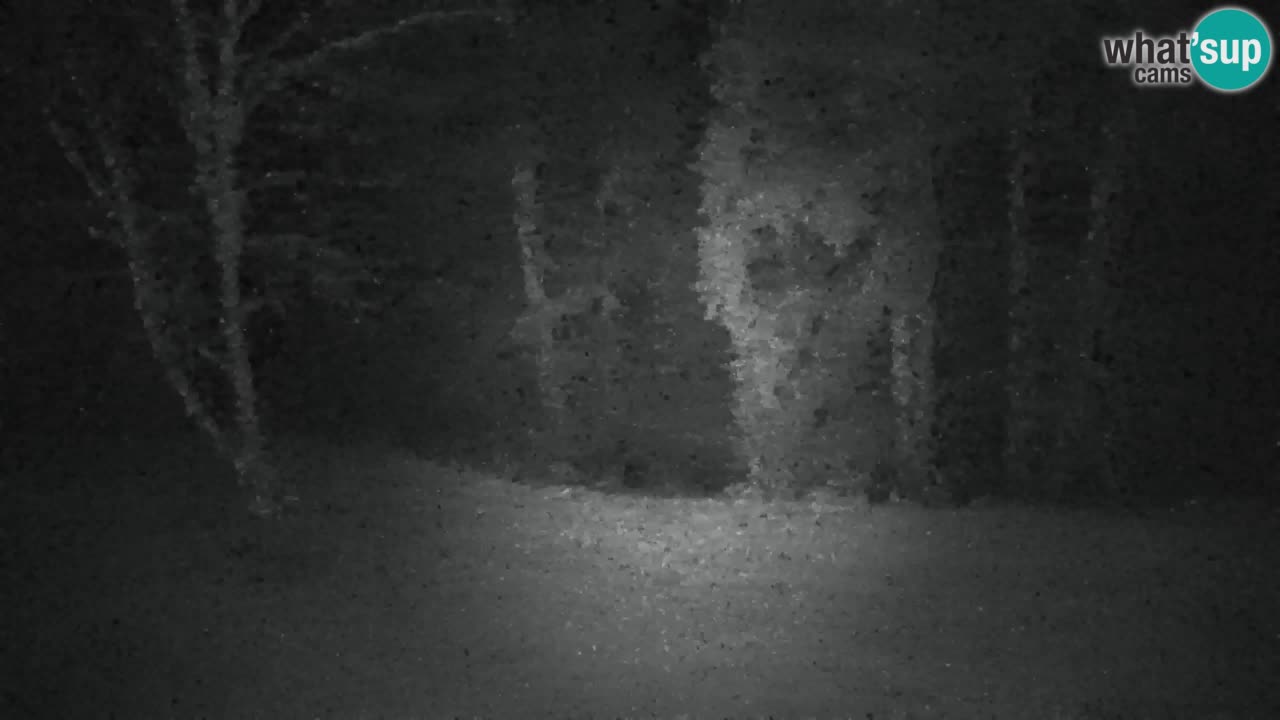 Web kamera Lukanja – Water Village | Pohorje Houses