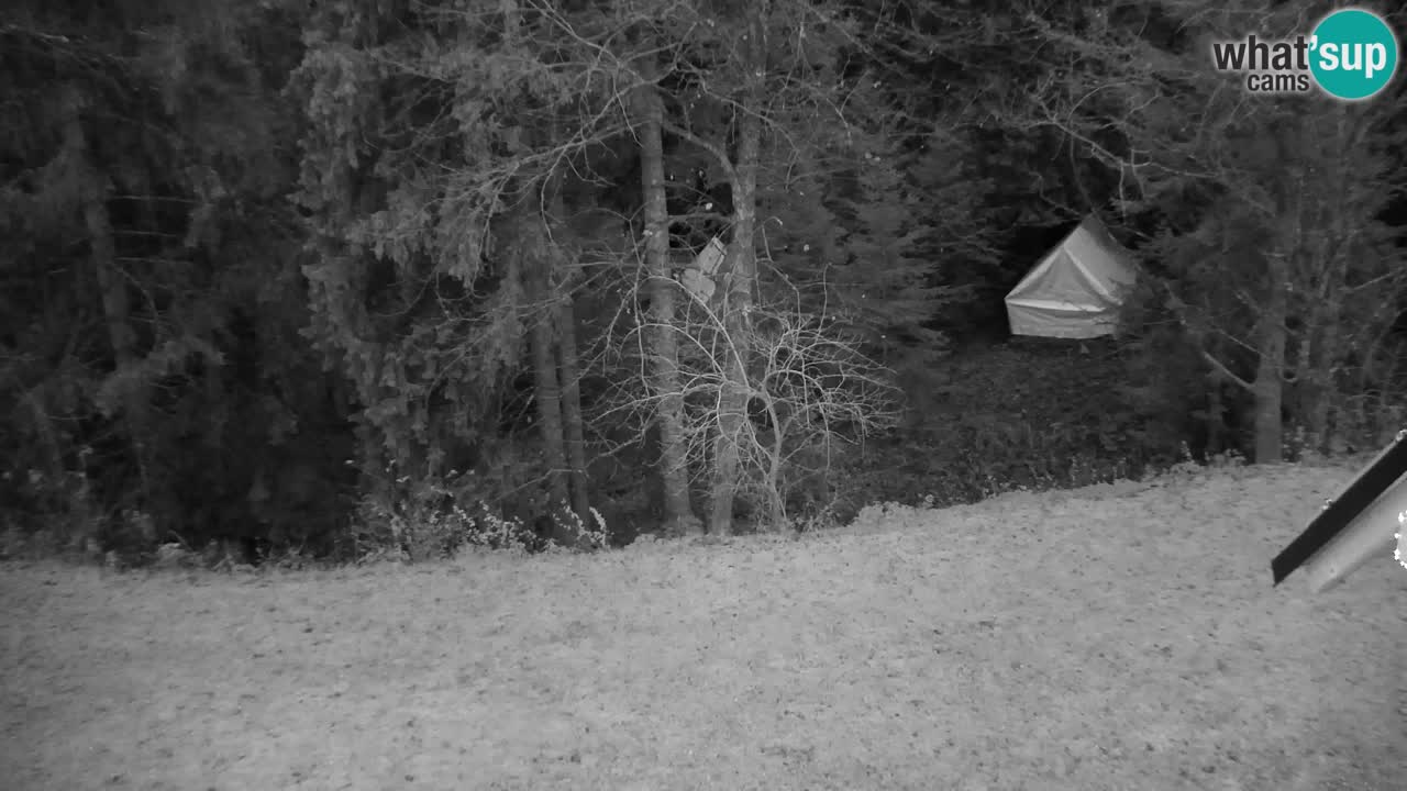 Webcam Lukanja – Pohorje houses a Water village