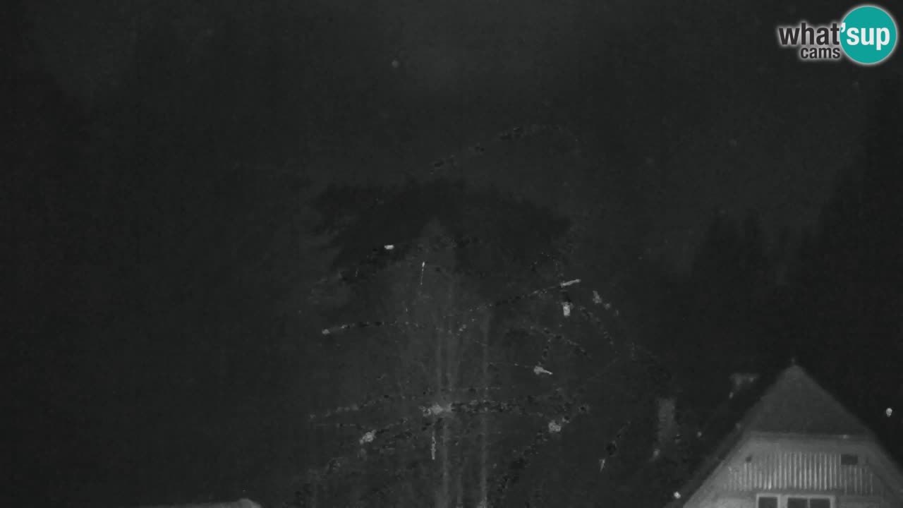 Web kamera Lukanja – Water Village | Pohorje Houses