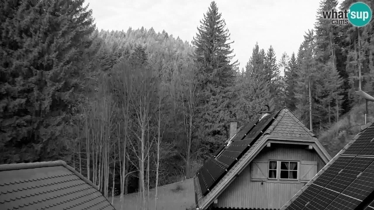 Webcam Lukanja – Water Village | Pohorje Houses