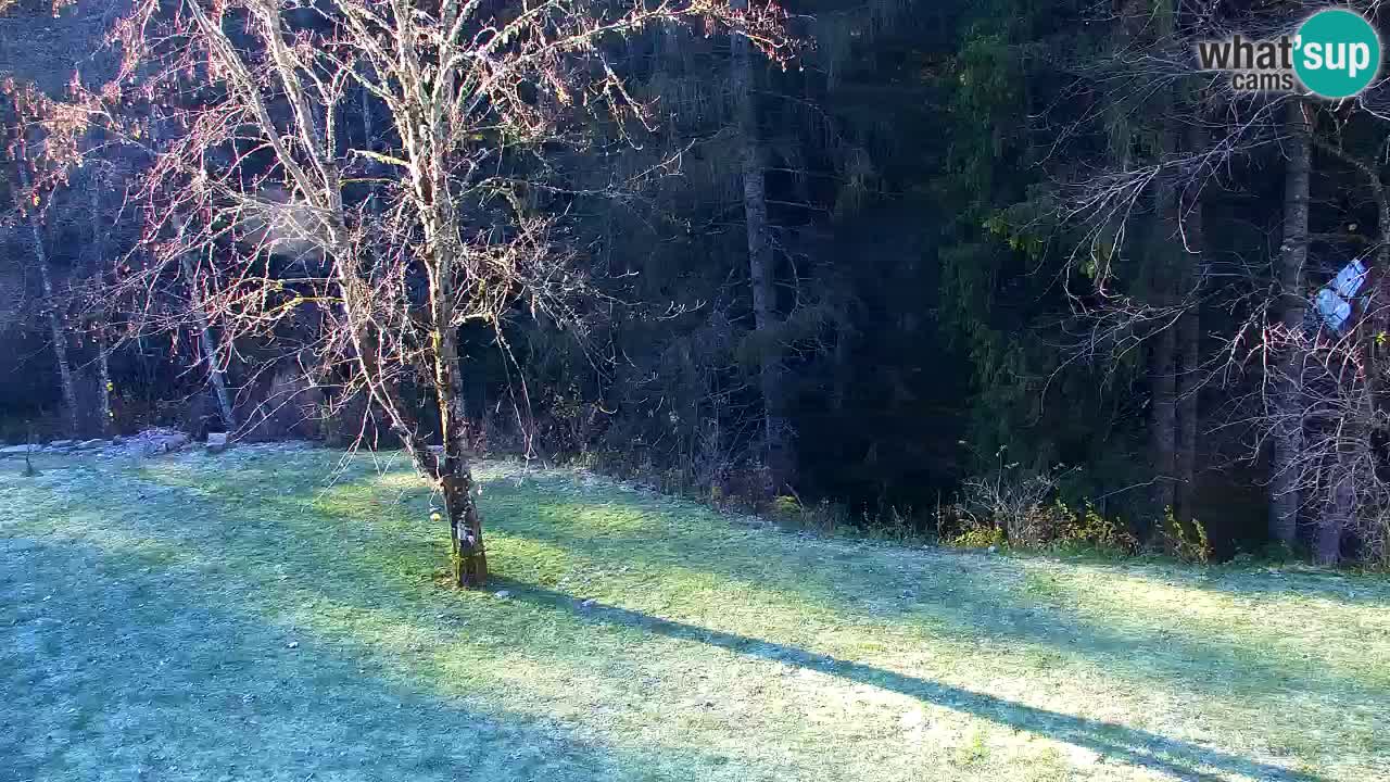 Webcam Lukanja – Water Village | Pohorje Houses