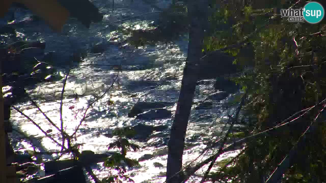 Webcam Lukanja – Water Village | Pohorje Houses