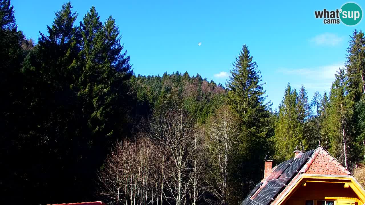 Webcam Lukanja – Water Village | Pohorje Houses