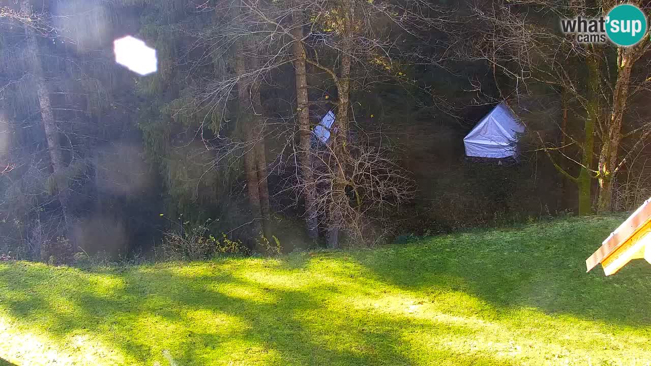 Webcam Lukanja – Water Village | Pohorje Houses