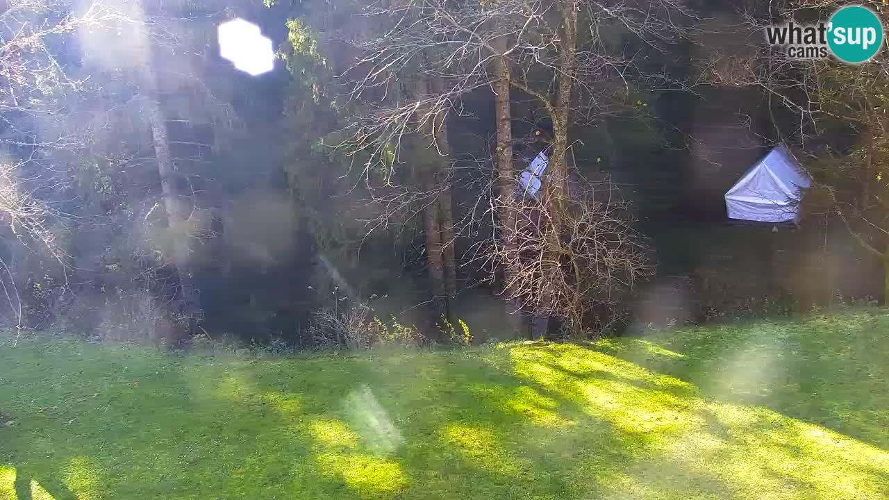 Web kamera Lukanja – Water Village | Pohorje Houses