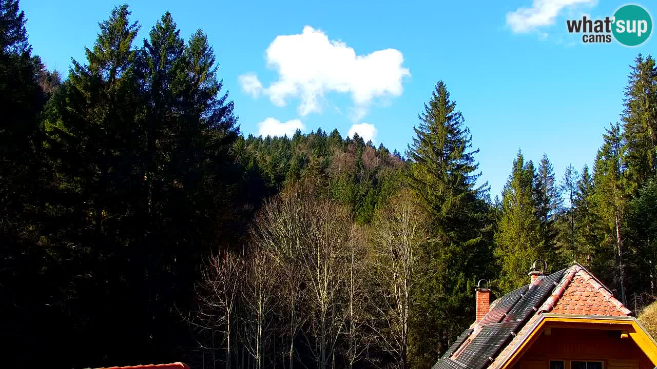 Webcam Lukanja – Water Village | Pohorje Houses